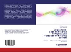 Capa do livro de Социально-экономическая поляризация мезоэкономических систем 
