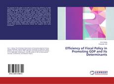 Capa do livro de Efficiency of Fiscal Policy in Promoting GDP and Its Determinants 