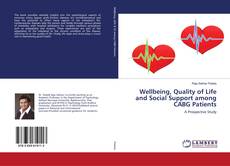 Buchcover von Wellbeing, Quality of Life and Social Support among CABG Patients