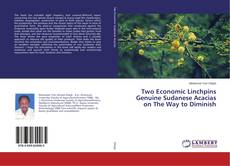 Buchcover von Two Economic Linchpins Genuine Sudanese Acacias on The Way to Diminish