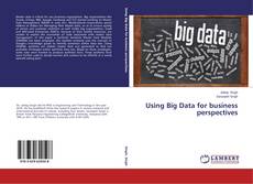 Capa do livro de Using Big Data for business perspectives 