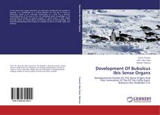 Couverture de Development Of Bubulcus Ibis Sense Organs