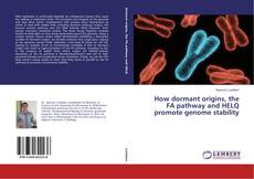 Couverture de How dormant origins, the FA pathway and HELQ promote genome stability