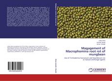 Portada del libro de Magagement of Macrophomina root rot of mungbean
