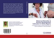 Buchcover von Maternal Mortality & Human Development Indicators in Delta,Nigeria