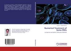 Capa do livro de Numerical Treatment of Some PDEs 