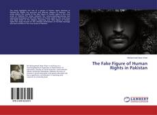 Capa do livro de The Fake Figure of Human Rights in Pakistan 