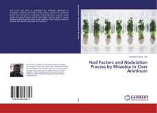 Обложка Nod Factors and Nodulation Process by Rhizobia in Cicer Arietinum
