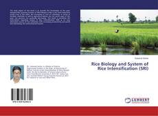 Couverture de Rice Biology and System of Rice Intensification (SRI)