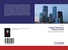 Copertina di Capital Structure Determinants