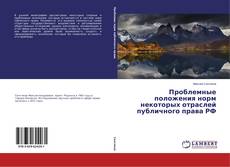 Capa do livro de Проблемные положения норм некоторых отраслей публичного права РФ 