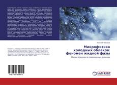 Buchcover von Микрофизика холодных облаков: феномен жидкой фазы
