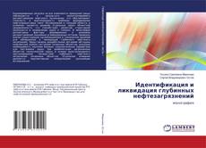 Capa do livro de Идентификация и ликвидация глубинных нефтезагрязнений 