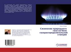 Buchcover von Сжижение природного газа на базе газораспределительной станции