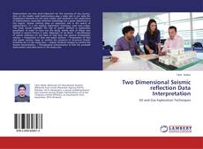Two Dimensional Seismic reflection Data Interpretation的封面