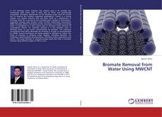 Bromate Removal from Water Using MWCNT的封面