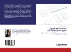 Buchcover von Capital Structure & Profitability Analysis