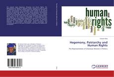 Buchcover von Hegemony, Patriarchy and Human Rights