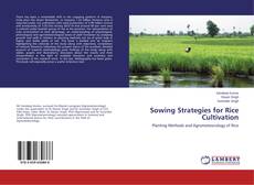 Buchcover von Sowing Strategies for Rice Cultivation