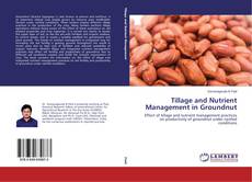 Buchcover von Tillage and Nutrient Management in Groundnut