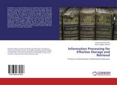 Buchcover von Information Processing for Effective Storage and Retrieval