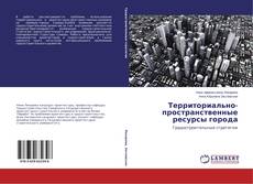 Buchcover von Территориально-пространственные ресурсы города