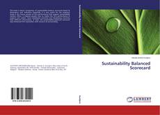 Buchcover von Sustainability Balanced Scorecard
