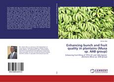 Capa do livro de Enhancing bunch and fruit quality in plantains (Musa sp. AAB group) 