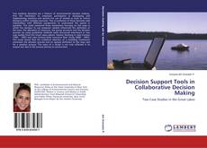 Buchcover von Decision Support Tools in Collaborative Decision Making