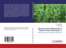 Buchcover von Sources sink relationship in hybrid maize (Zeamays L.)