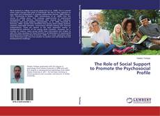 Buchcover von The Role of Social Support to Promote the Psychosocial Profile