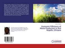 Capa do livro de Economic Efficiency of Maize Production In Arsi Negelle, Ethiopia 