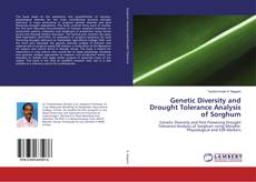 Copertina di Genetic Diversity and Drought Tolerance Analysis of Sorghum