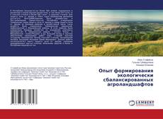 Опыт формирования экологически сбалансированных агроландшафтов的封面
