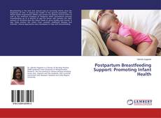 Обложка Postpartum Breastfeeding Support: Promoting Infant Health