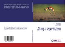 Portada del libro de Picture compression issues relating to digital television