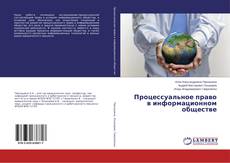 Couverture de Процессуальное право в информационном обществе