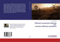 Buchcover von Efficient numerical methods for reaction-diffusion problems