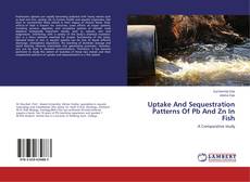 Copertina di Uptake And Sequestration Patterns Of Pb And Zn In Fish