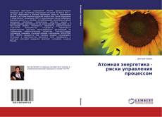 Buchcover von Атомная энергетика - риски управления процессом