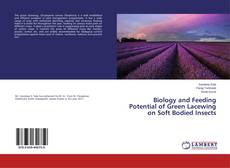 Portada del libro de Biology and Feeding Potential of Green Lacewing on Soft Bodied Insects