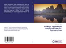 Capa do livro de Efficient Importance Sampling in Applied Econometrics 