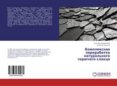 Couverture de Комплексная переработка натурального горючего сланца