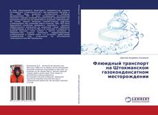 Couverture de Флюидный транспорт на Штокманском газоконденсатном месторождении