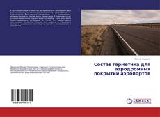 Состав герметика для аэродромных покрытий аэропортов的封面