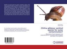 Buchcover von Chilina gibbosa: sentinel species for water contamination?