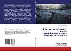 Buchcover von Получение активных углей, модифицированных гидроксидом калия