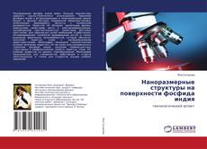Bookcover of Наноразмерные структуры на поверхности фосфида индия