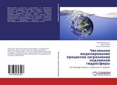 Portada del libro de Численное моделирование процессов загрязнения подземной гидросферы