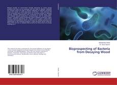 Bookcover of Bioprospecting of Bacteria from Decaying Wood